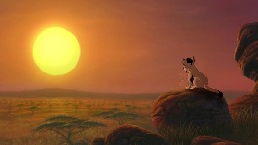 Mbali watching the sunset.